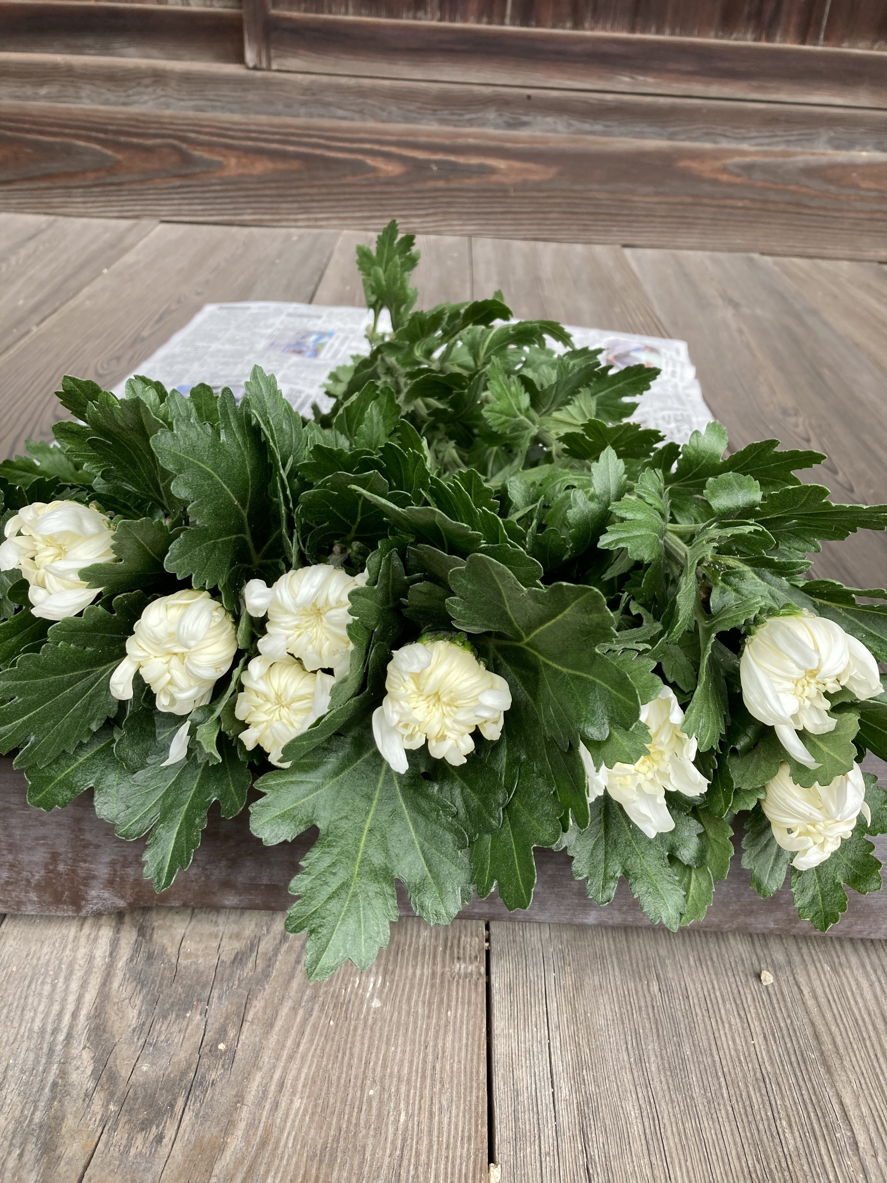 持て余してしまったお墓参りの花 世界一元氣な60歳 藤野 知枝 Note