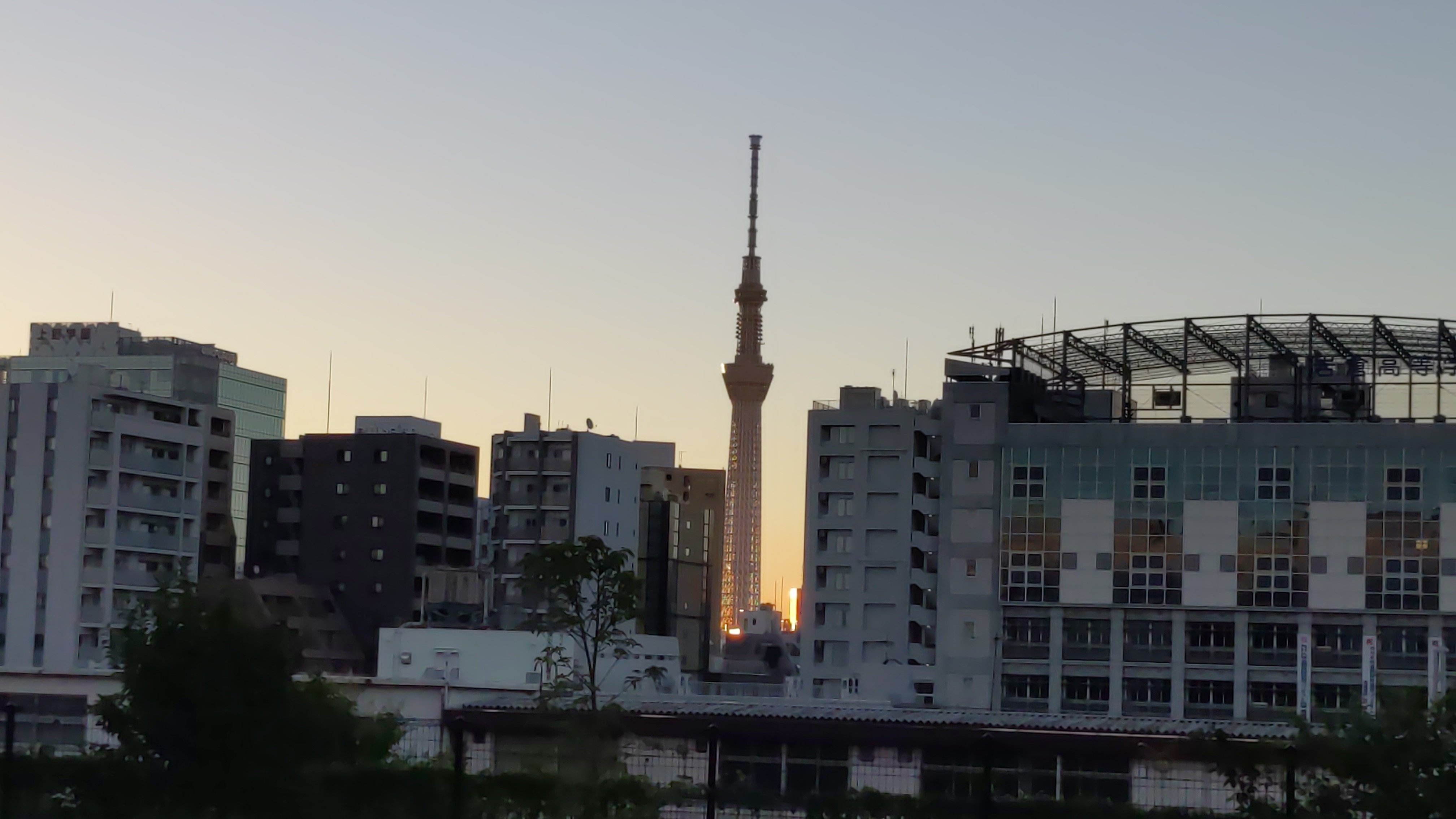 上野の森でモーニング珈琲をしてみよう Hide Tokyo23区 バーチャルデジタルガイド Note