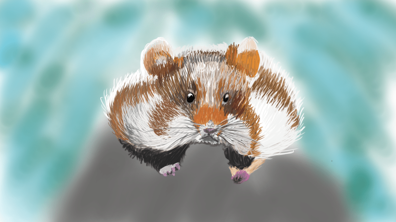ペンタブ描き 動物 Mu Ran Memory Note