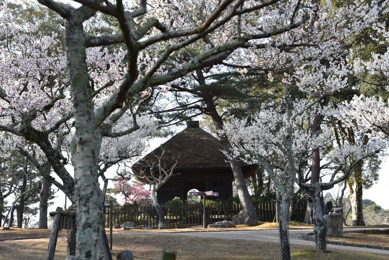 Art And Movieの21年7月のノート Note Art And Movieの21年7月のノート Note