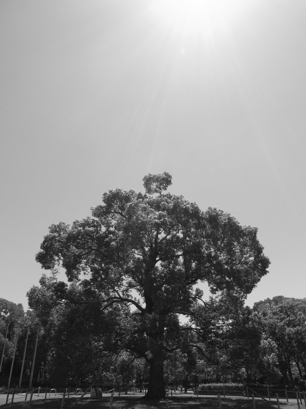 RICOH CX3 動作品　撮影例あり RICOH CX3 動作品 撮影例あり CX3 / Digital Cameras | Ricoh Global