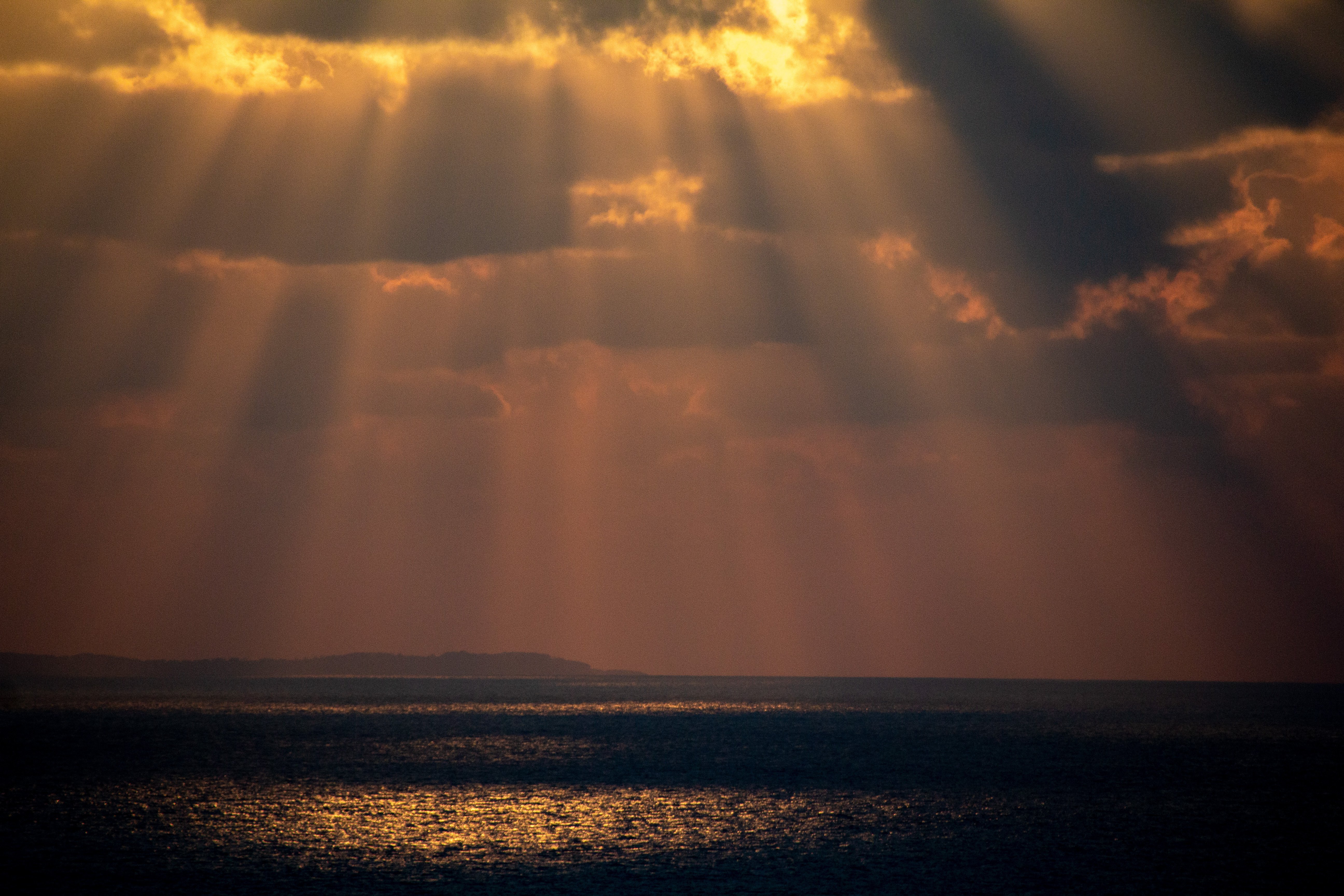 光のパイプオルガン しげさん Note