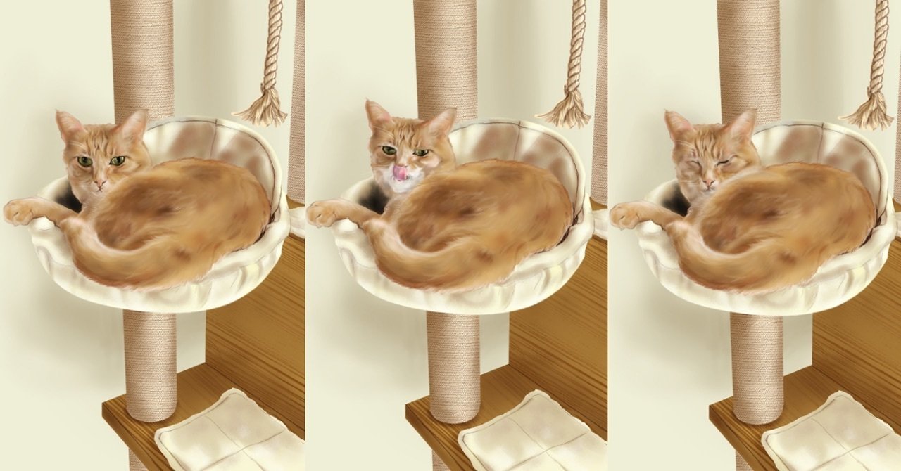 キャットタワーのぴーちゃん🐾໊｜ෆもふෆ