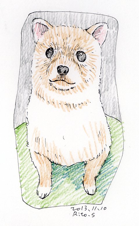 13年11月10日習作模写等アナログ犬イラスト さいはてりと Note 13年11月10日習作模写等アナログ犬イラスト さいはてりと Note