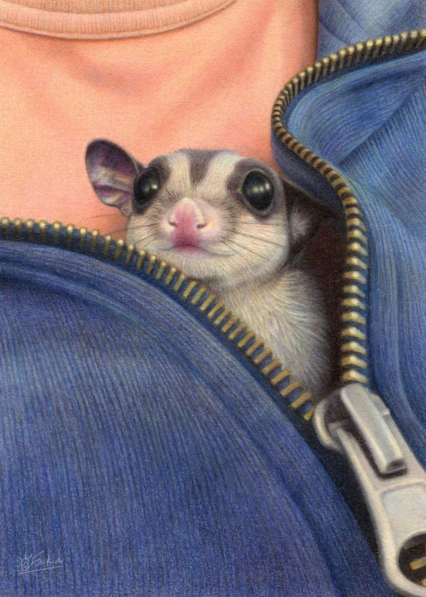 色鉛筆画 モモンガちゃん 福 Note
