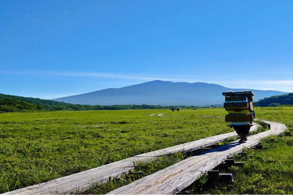 青空エール の新着タグ記事一覧 Note つくる つながる とどける