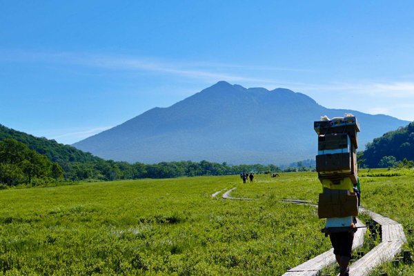 青空エール の新着タグ記事一覧 Note つくる つながる とどける 青空エール の新着タグ記事一覧 Note つくる つながる とどける