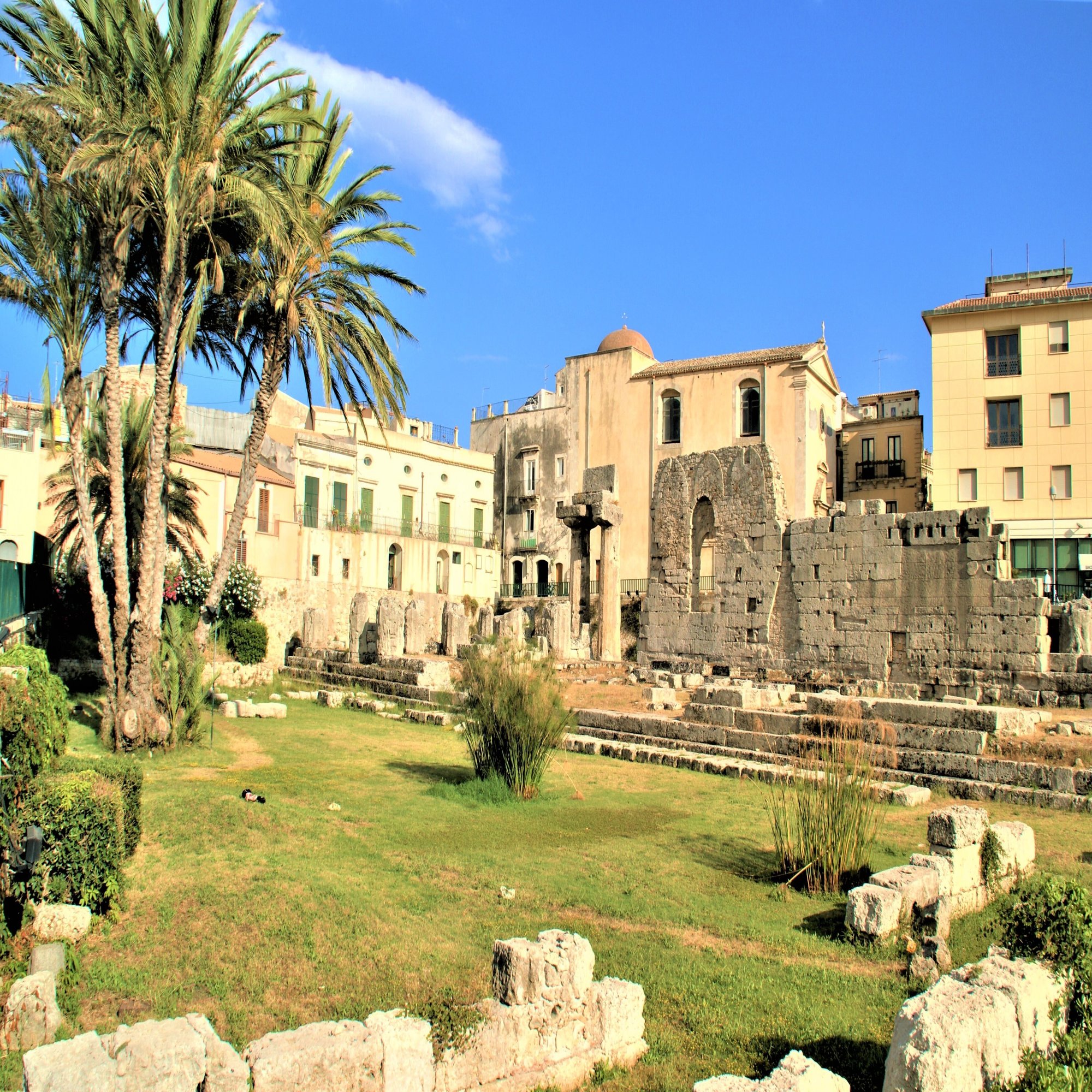 パピルスが自生する泉 アレトゥーザ 食の工房オフィスアルベロ イタリア料理教室 In 神戸 Note