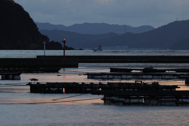 日が沈み、航路灯が点滅を始めました