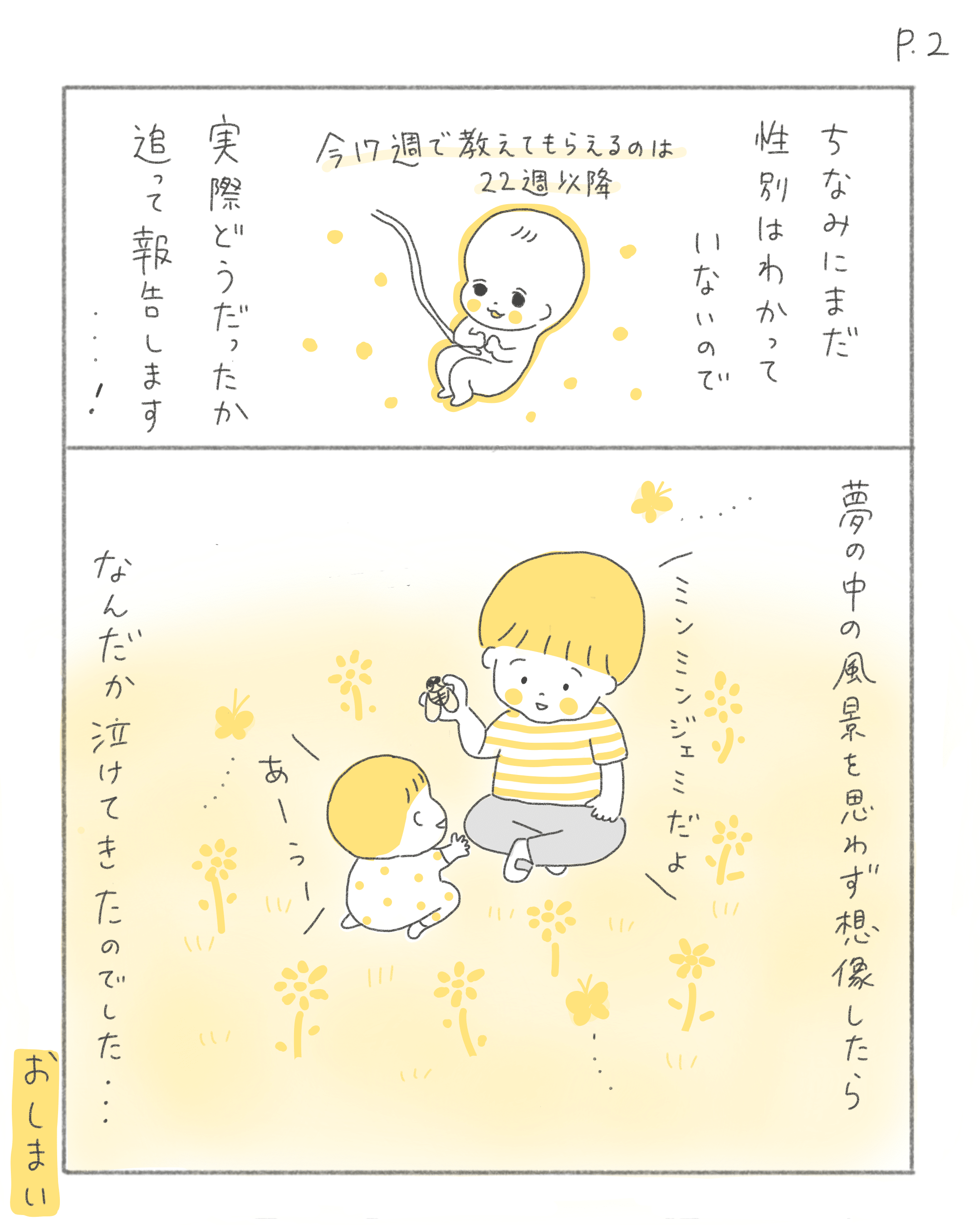 赤ちゃんの性別は 2歳9ヶ月 妊娠17週 もしこぴ Note