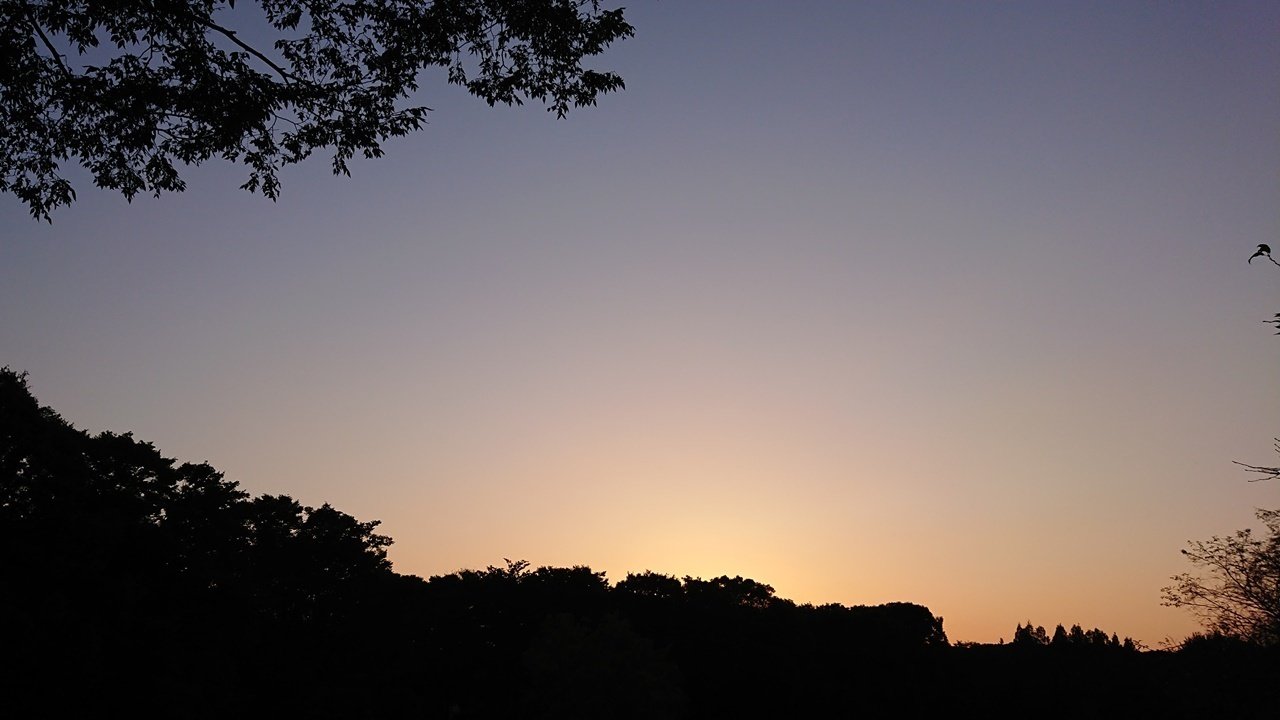 雲は無くても秋の夕焼けのオレンジがきれいだった件 すー Via Note