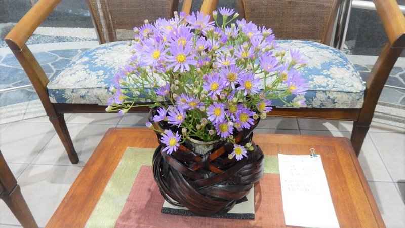 紫苑って、別名：オニノシコグサ（鬼の醜草）・ジュウゴヤソウ（十五夜草）・オモイグサ（思い草）というらしいです。紫苑にはサポニンが含まれていて･･･痰きりや咳止めに煎じ汁が効くらしい。きれいな紫ですね～