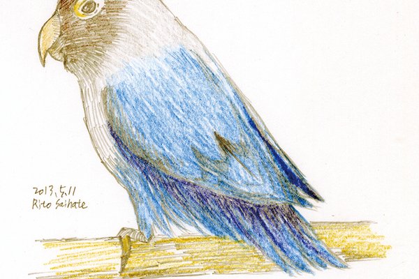 鳥イラスト の新着タグ記事一覧 Note つくる つながる とどける 鳥イラスト の新着タグ記事一覧 Note つくる つながる とどける