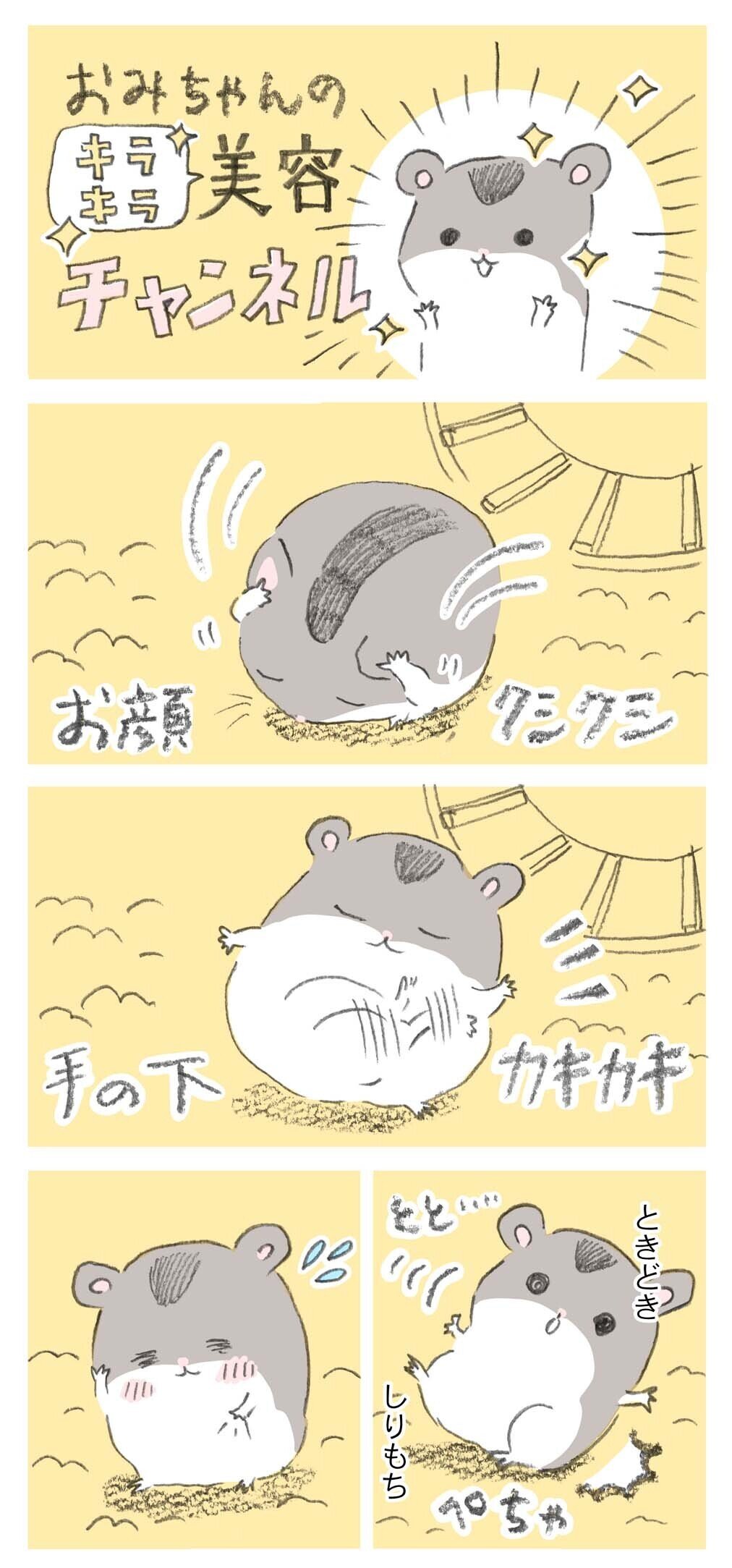 おみちゃんの美容チャンネル 熊鹿るり Note おみちゃんの美容チャンネル 熊鹿るり Note