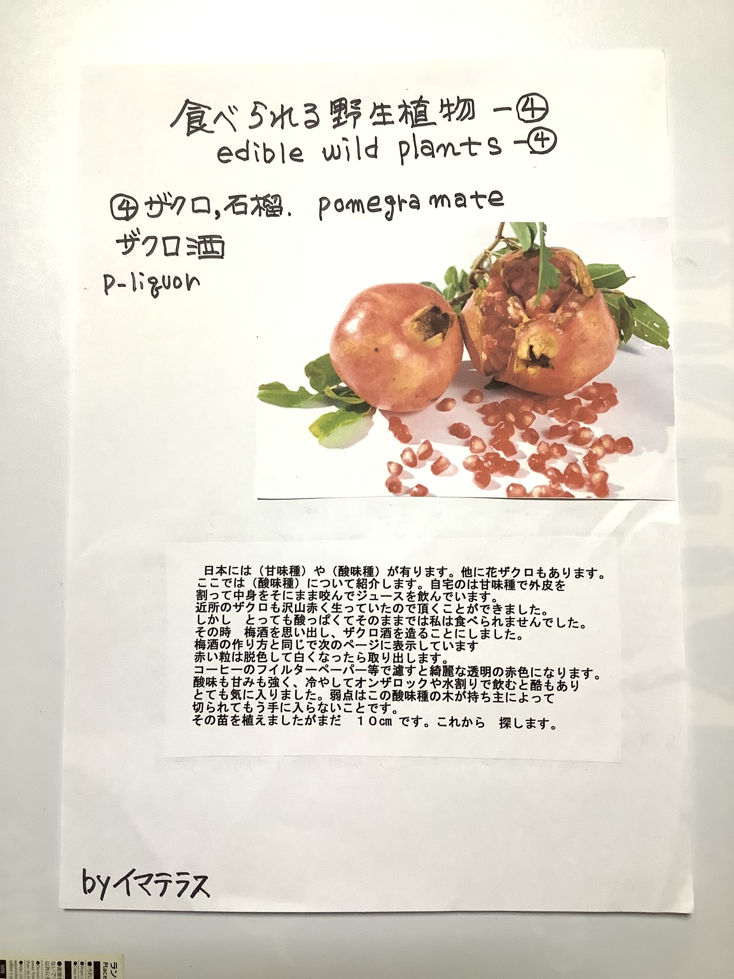 ザクロ酒 の新着タグ記事一覧 Note つくる つながる とどける