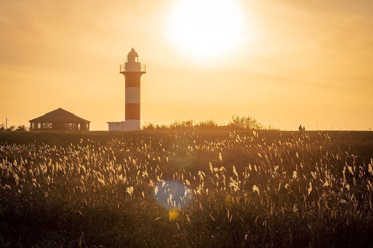 黄金の光が降り注ぐ ま さ スピリット フォトグラファー Note