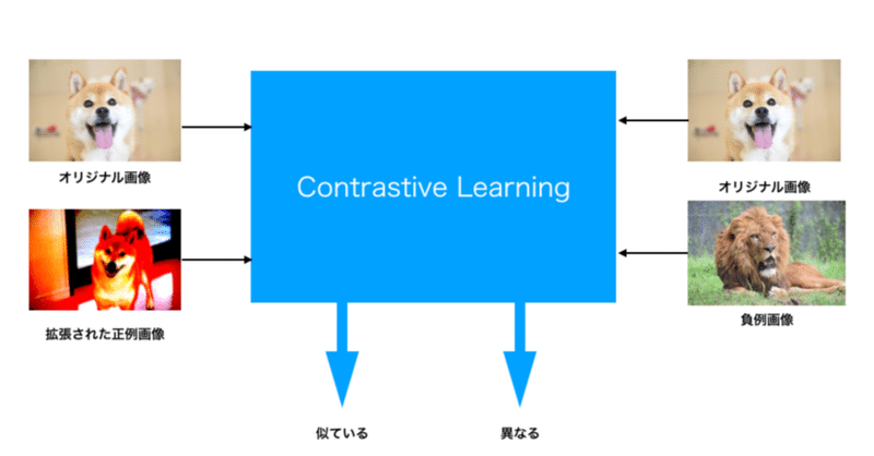 画像を拡大表示