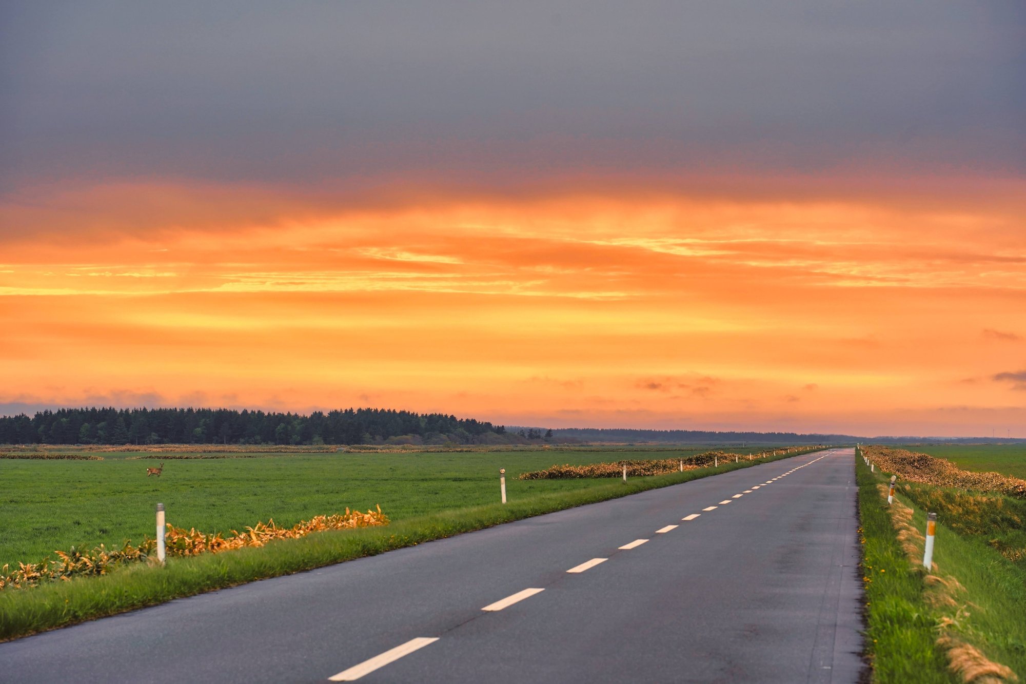 読むと知らず知らずのうちに 何度も猿払を訪れたくなってしまう危険な記事 北海道猿払村 読むと知らず知らずのうちに 何度も猿払を訪れたくなってしまう危険な記事 北海道猿払村