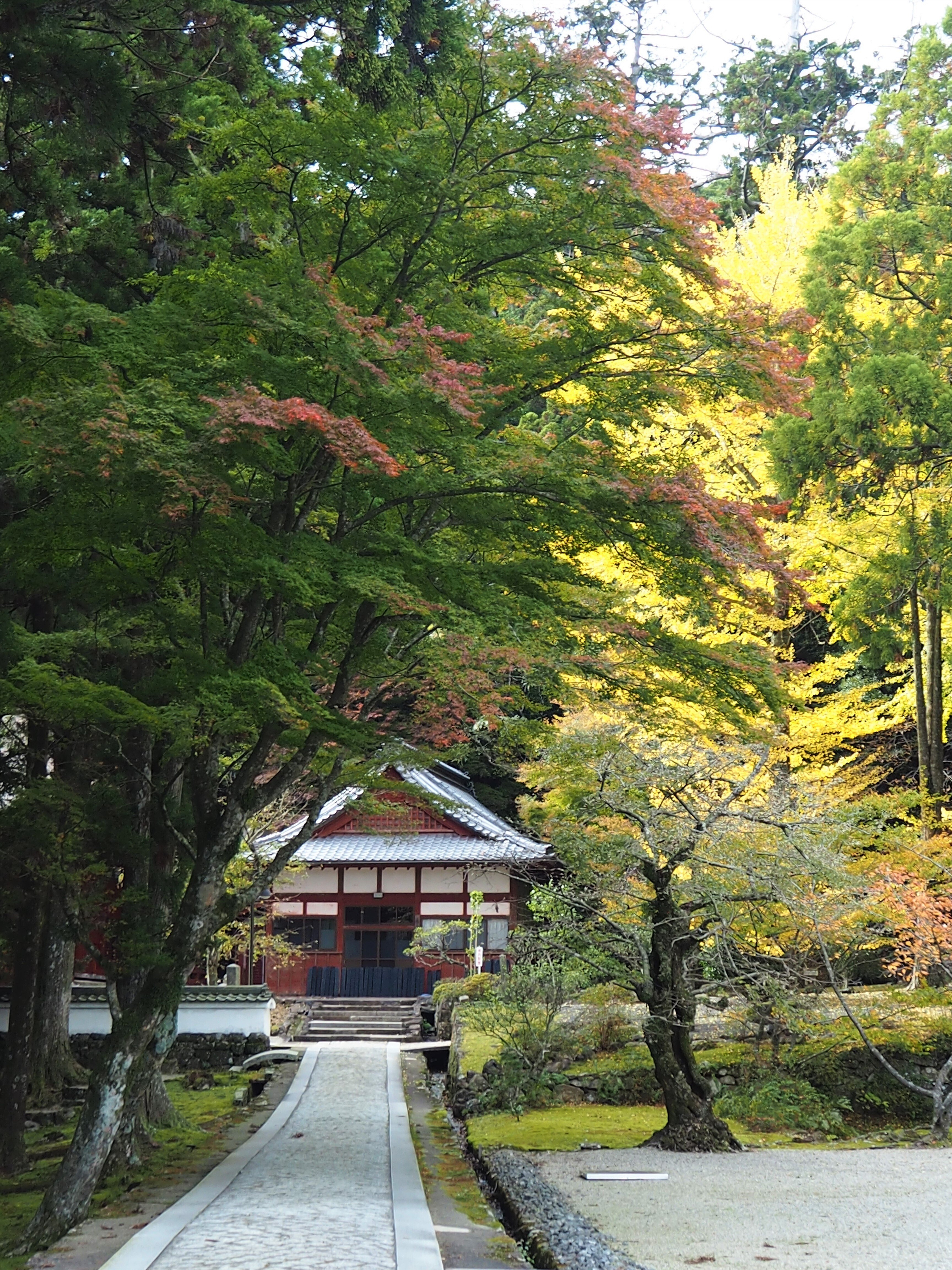 アンティーク 伊勢朝熊岳 金剛證寺 虚空蔵菩薩 龍上観音菩薩 稲荷神 紙本 掛軸 楽天市場】龍上観音菩薩 : 仏像・掛軸の三宝堂