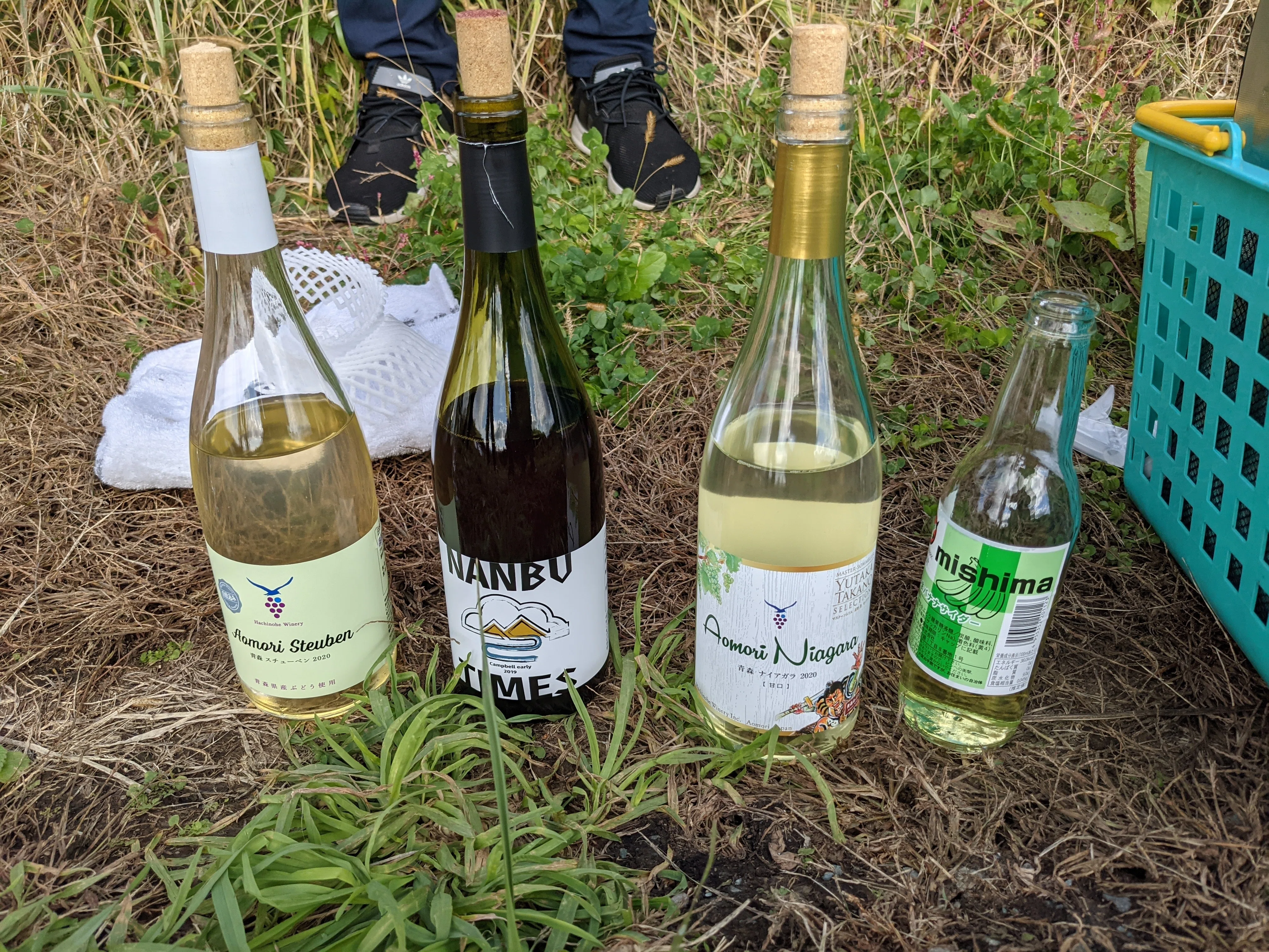 ブドウ畑でワインを飲もう 後編｜鎌田長明