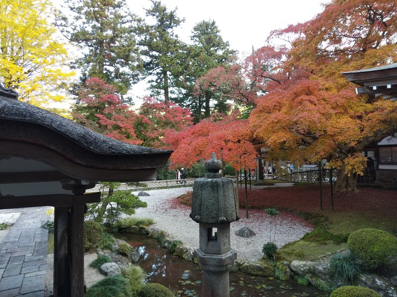 はい！毎週日曜夕方ちょい過ぎ恒例の、写真からパワーもらうよ、のお時間です。　今日は福岡県糸島市にある「雷山千如寺（らいざんせんにょじ）」というお寺の庭の紅葉です。あと数週間もすれば、こんな光景があちこちで見られるのでしょう。あ、地域差ありだけども(^^;)　「企画の一枚」で、おでんが盛り上がったので、わが家も今夜はおでんです。もち巾着＆ちくわぶ、入れました！　まあ、明日からも、ぼちぼちと・・・(^^;)