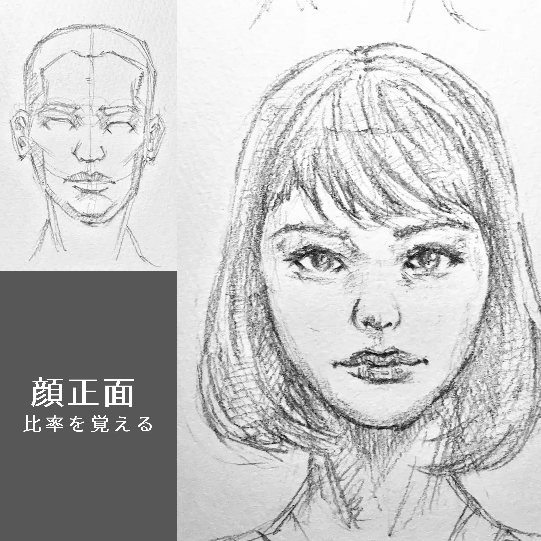 顔(正面)の比率を覚える｜DOM