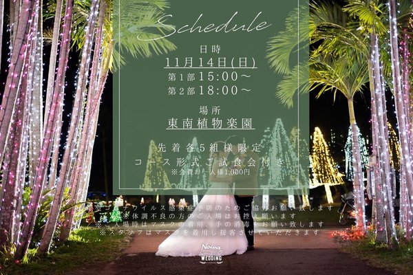 東南植物楽園イルミネーション の新着タグ記事一覧 Note つくる つながる とどける