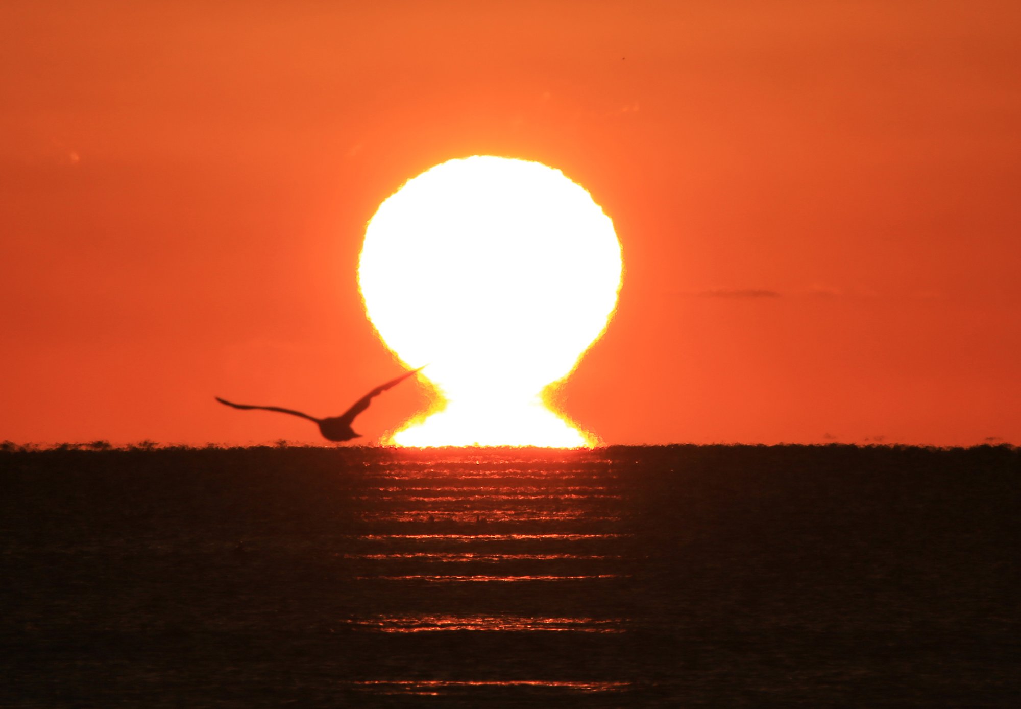 蜃気楼の魅力で地域を元気にしたい 大木淳一 千葉県立中央博物館 ポプラ社 こどもの本編集部 Note 蜃気楼の魅力で地域を元気にしたい 大木淳一 千葉県立中央博物館 ポプラ社 こどもの本編集部 Note