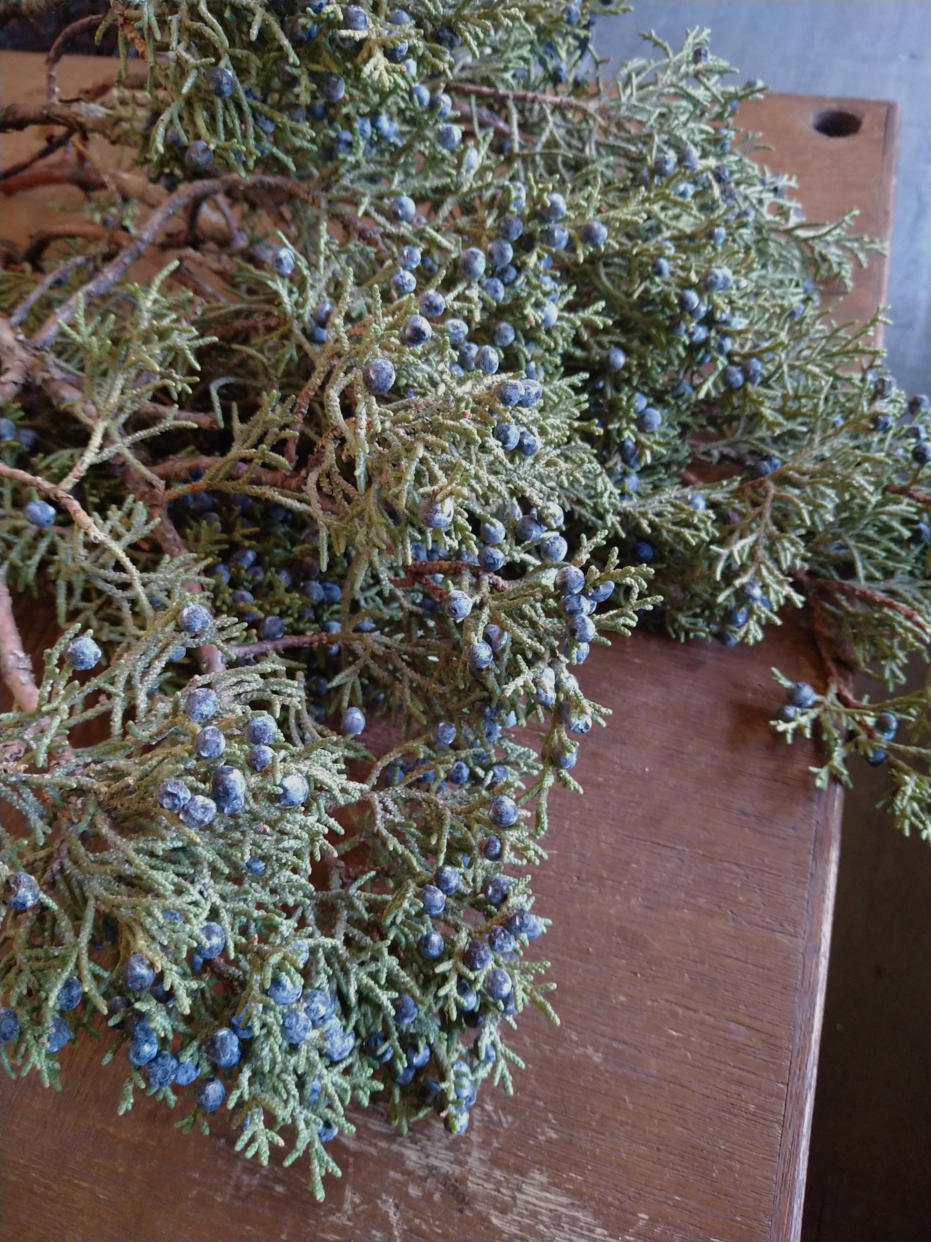 セイヨウネズを使ったリース｜yakkoflower