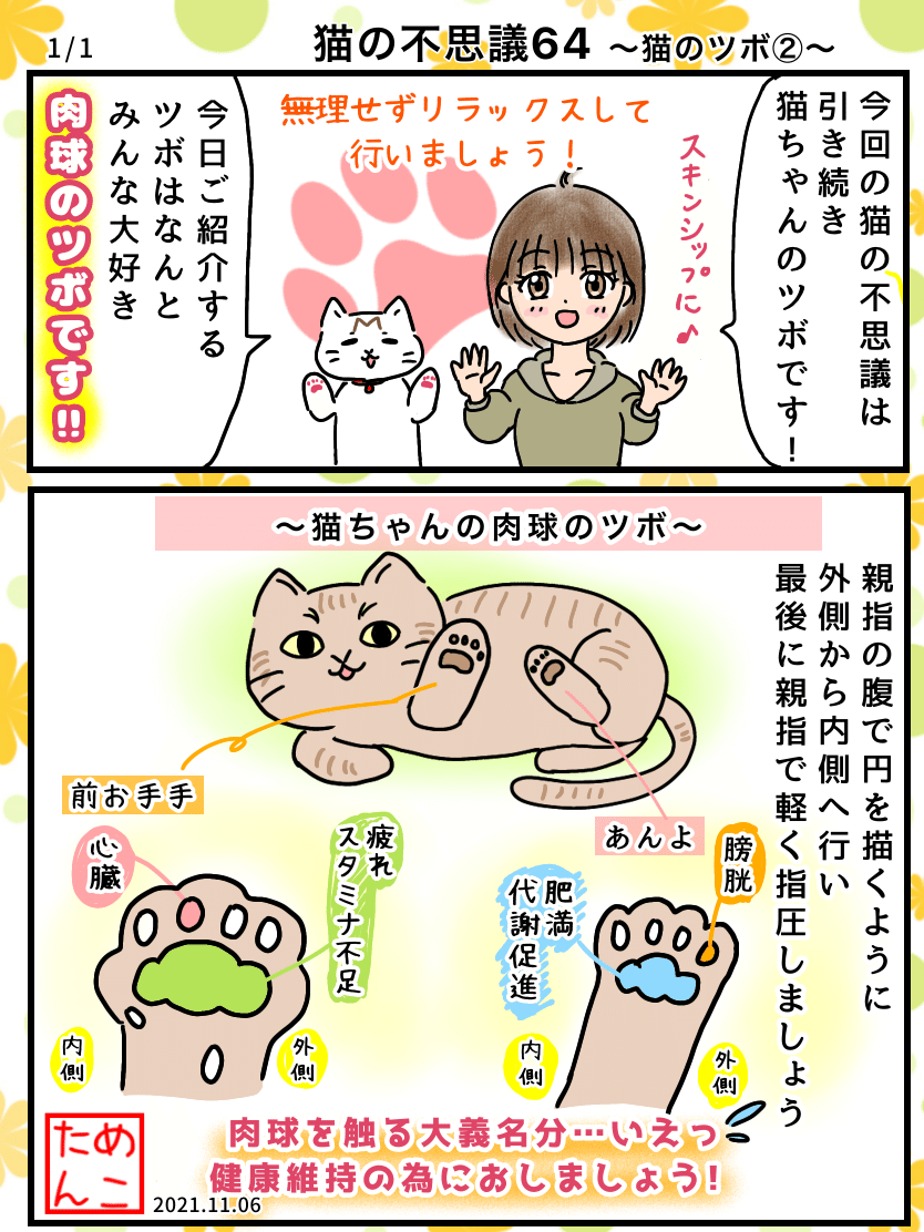 猫の不思議64 猫のツボ めこたん 漫画 イラスト Note