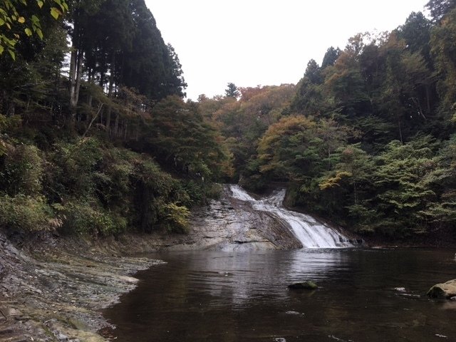 画像12