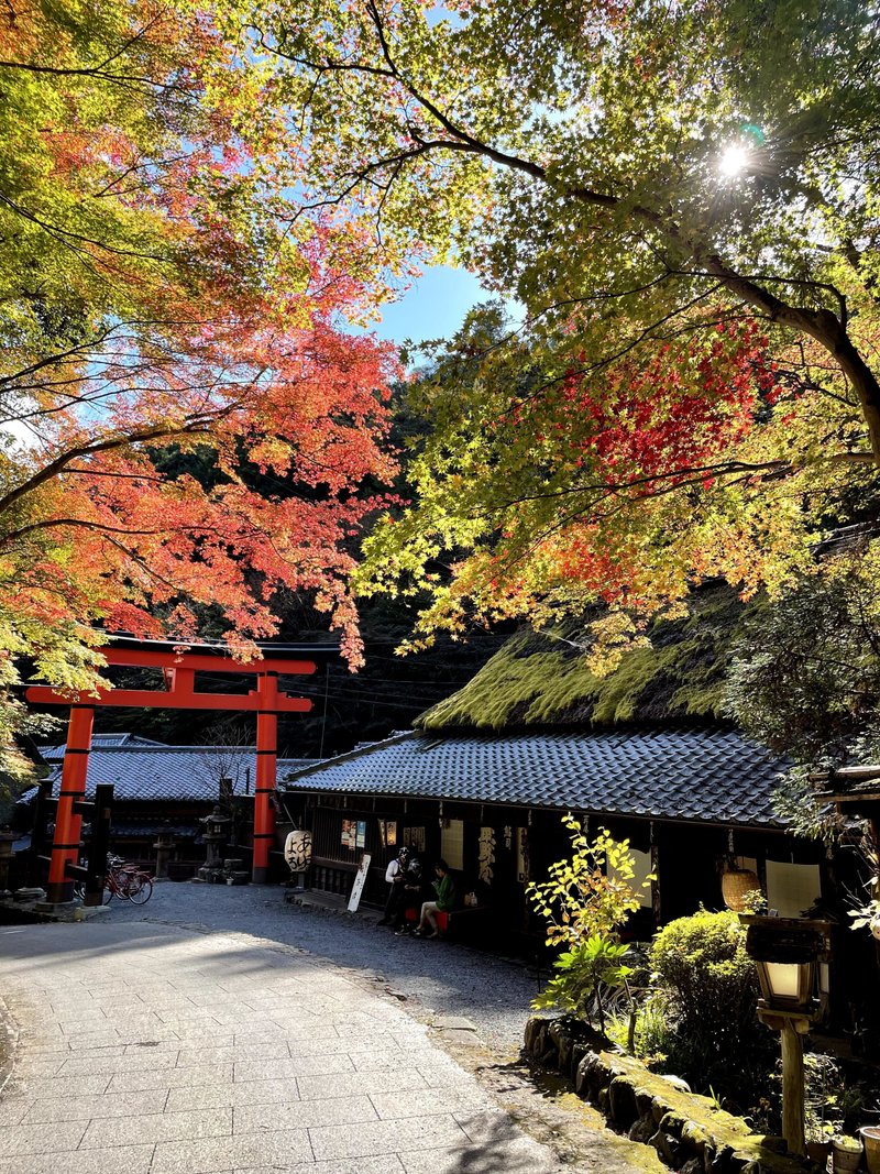 京都2日目。宿の近くでモーニングを食べて、いざ散策＆観光へ。