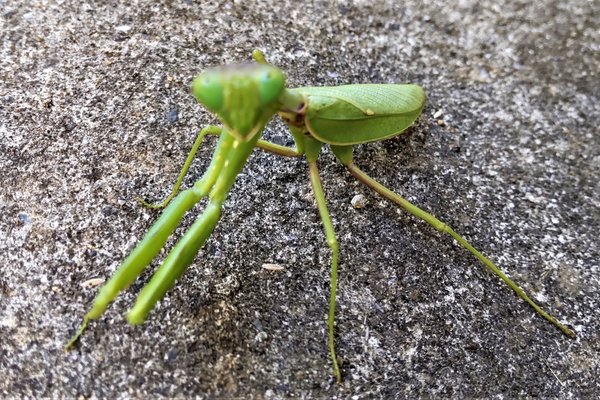 獲物を探す の新着タグ記事一覧 Note つくる つながる とどける 獲物を探す の新着タグ記事一覧 Note つくる つながる とどける