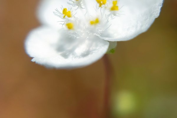 Md5obktqj0y6rm Md5obktqj0y6rm