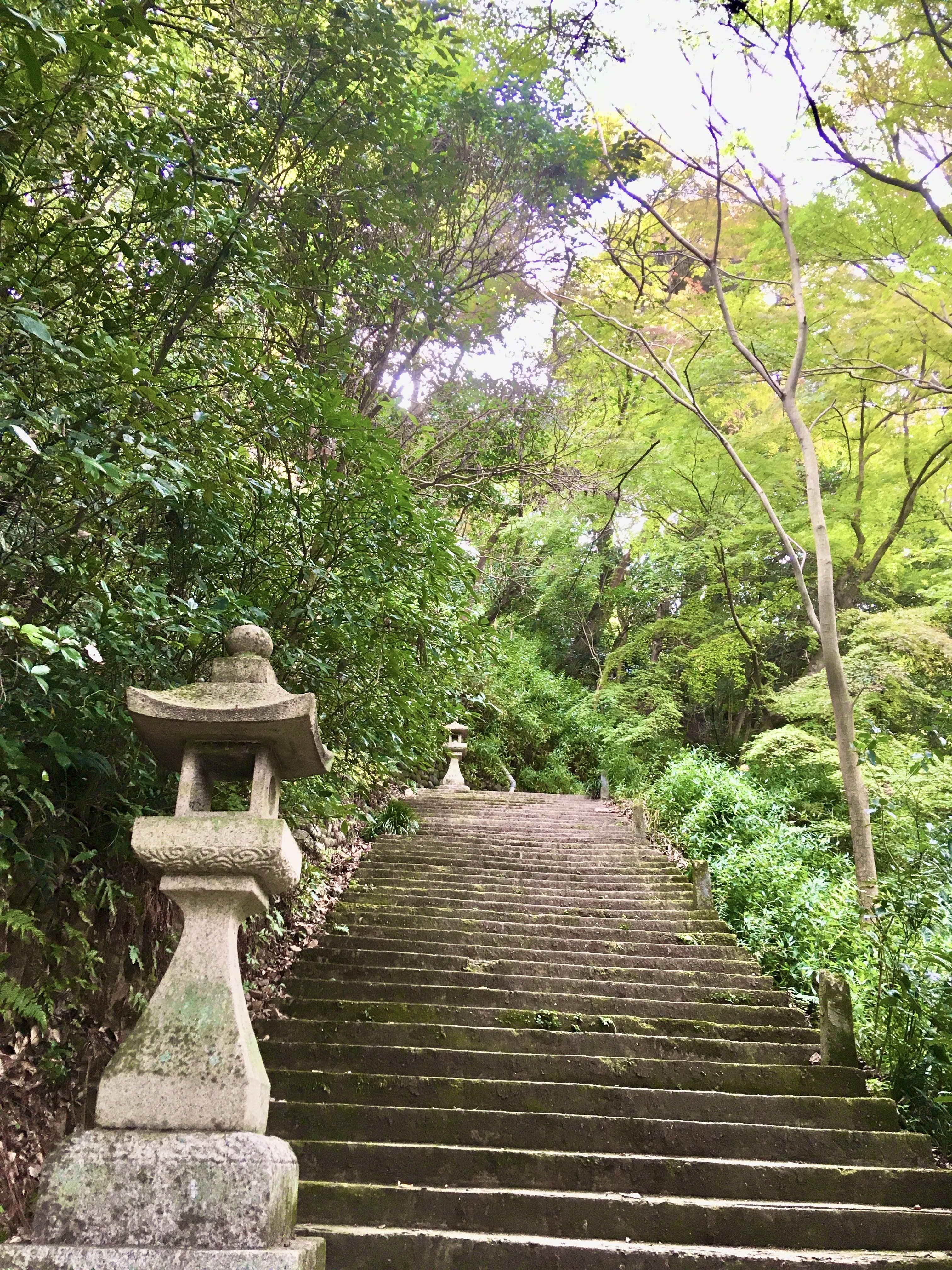 犬山の紅葉寺 ショートツーリング Yとkの父親 Note
