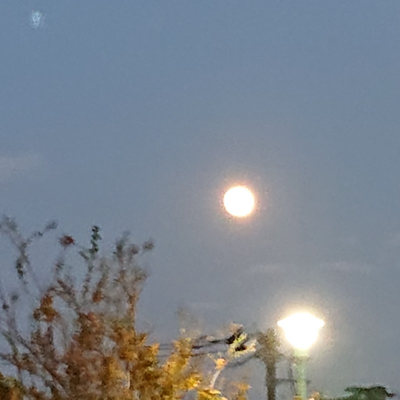 あすのほぼほぼ月食の撮影練習。ピークが18:02頃と言われています。どんな色の月になるのか？今から楽しみです。ちなみに全国から観測できるのは140年ぶりらしいです。
