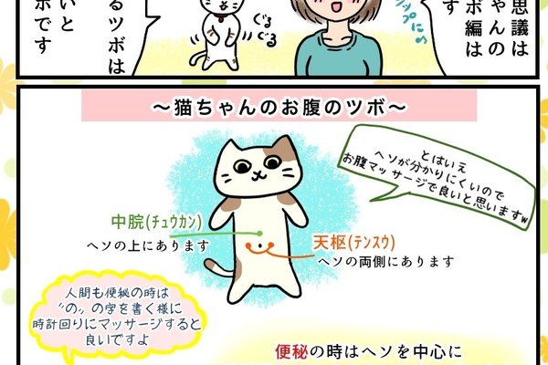 猫の不思議 の新着タグ記事一覧 Note つくる つながる とどける 猫の不思議 の新着タグ記事一覧 Note つくる つながる とどける