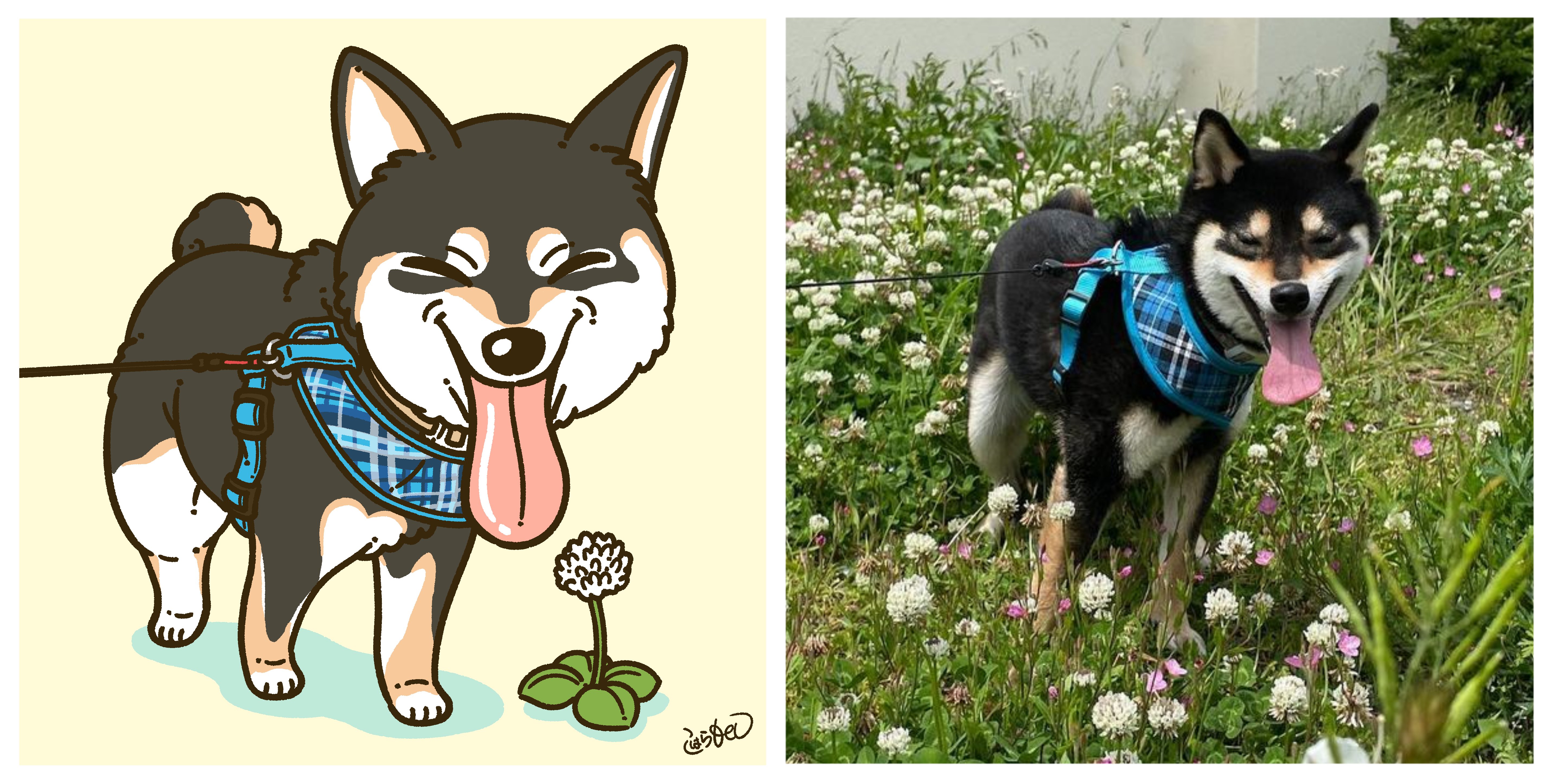 キャラクター化動物イラスト まとめ コハラモトシ Note