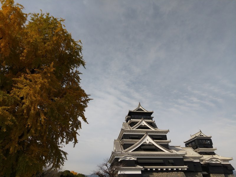 はい！毎週日曜夕方恒例の、写真からパワーもらうばいのお時間です。　今日は、熊本市の熊本城です。数年ぶりに天守閣へ登ってきました。色づいていた銀杏とともに、「秋の熊本城」を堪能しました(^^)　まあ、明日からも、ぼちぼちと…(^^;)