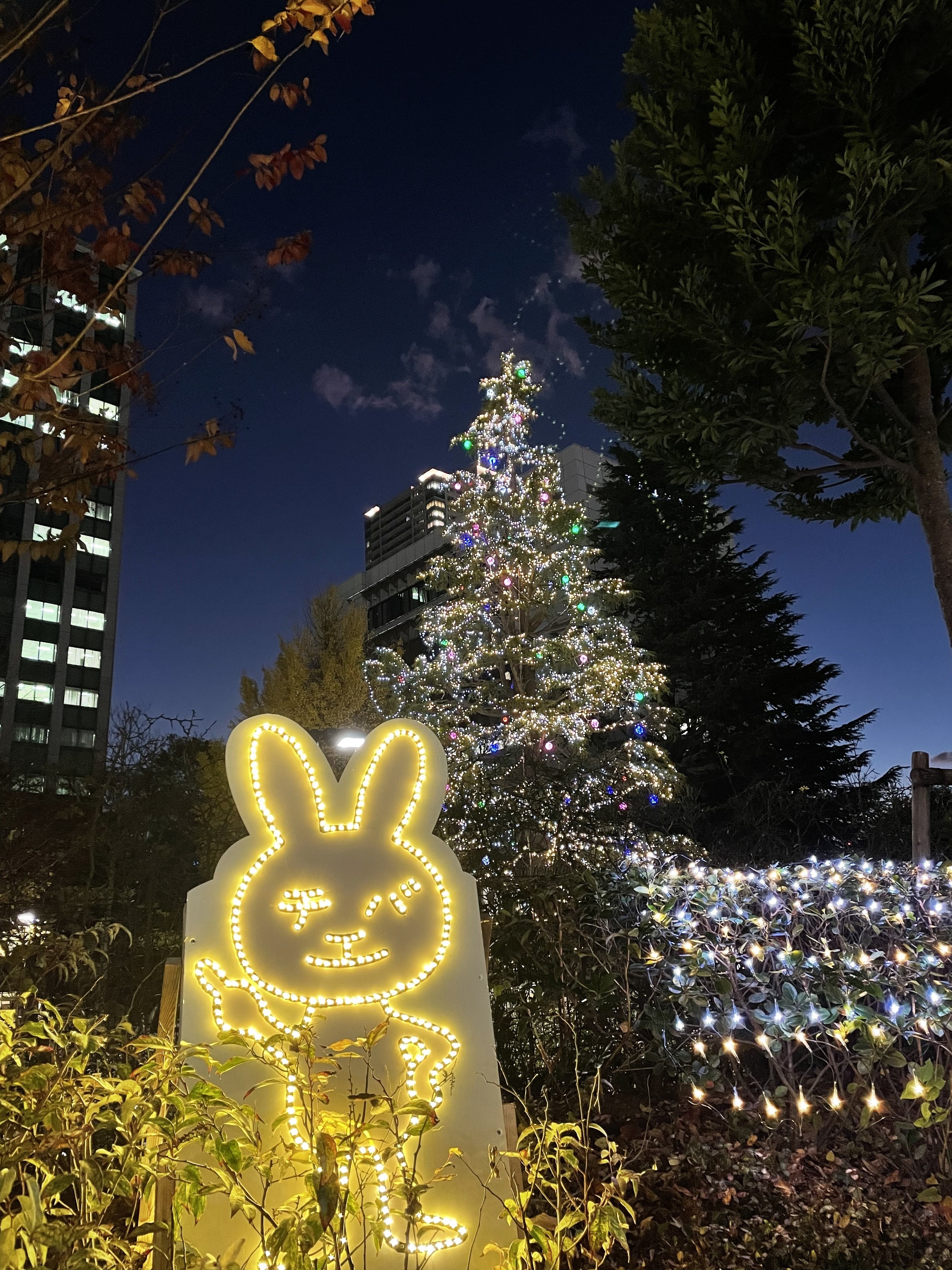   クリスマスツリー 2021 クリスマスツリーのクリスマス屋 (@jbcxmas8) • Instagram