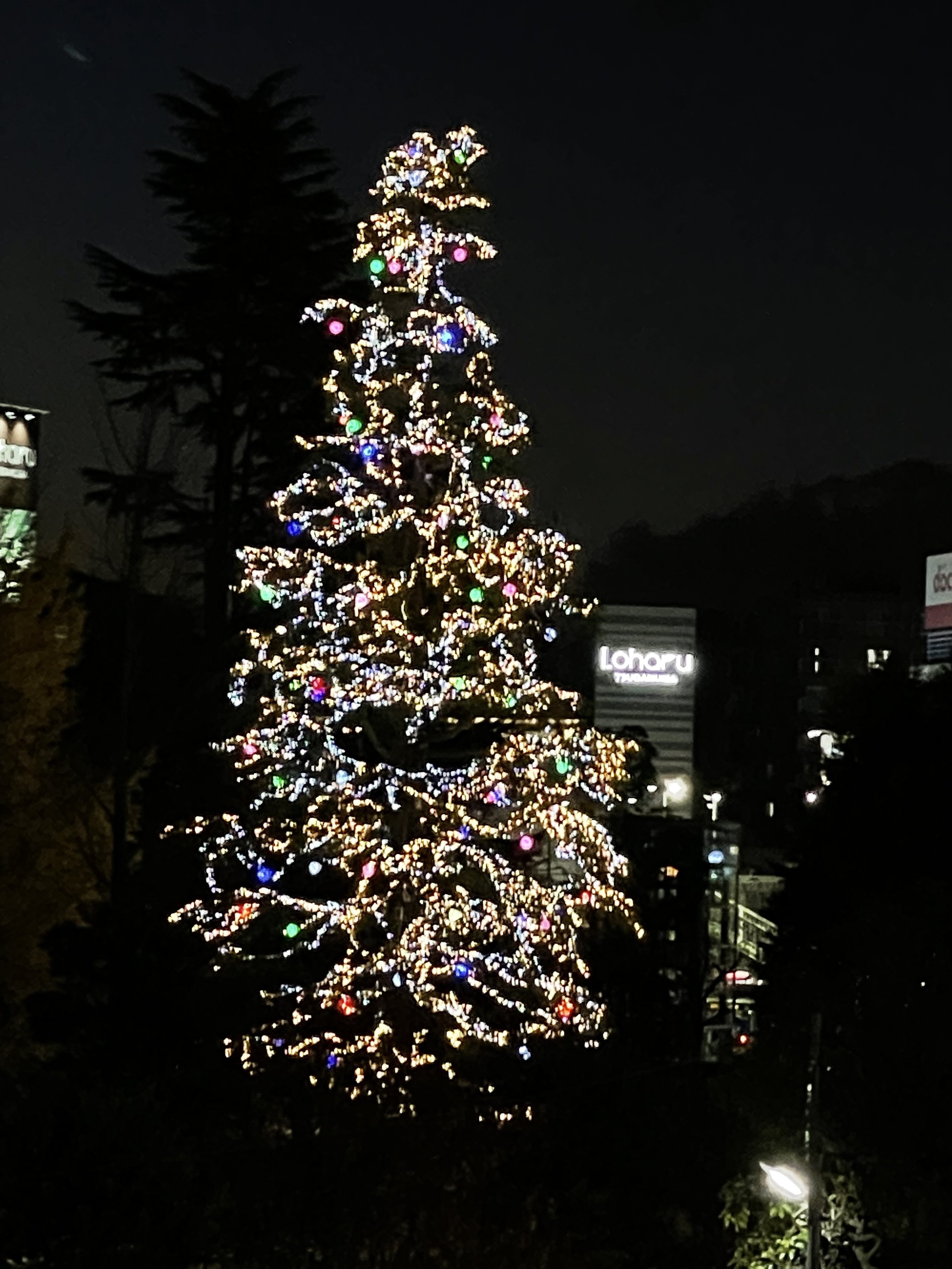   クリスマスツリー 2021 2021年注目のXmasツリー（首都圏編）クリエイターとの
