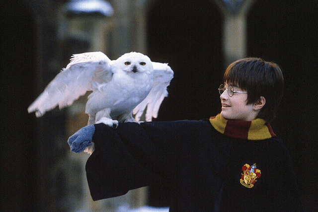 ハリポタ周年記念 ハリーポッター シリーズ全作品総復習 映画 Com Style Note