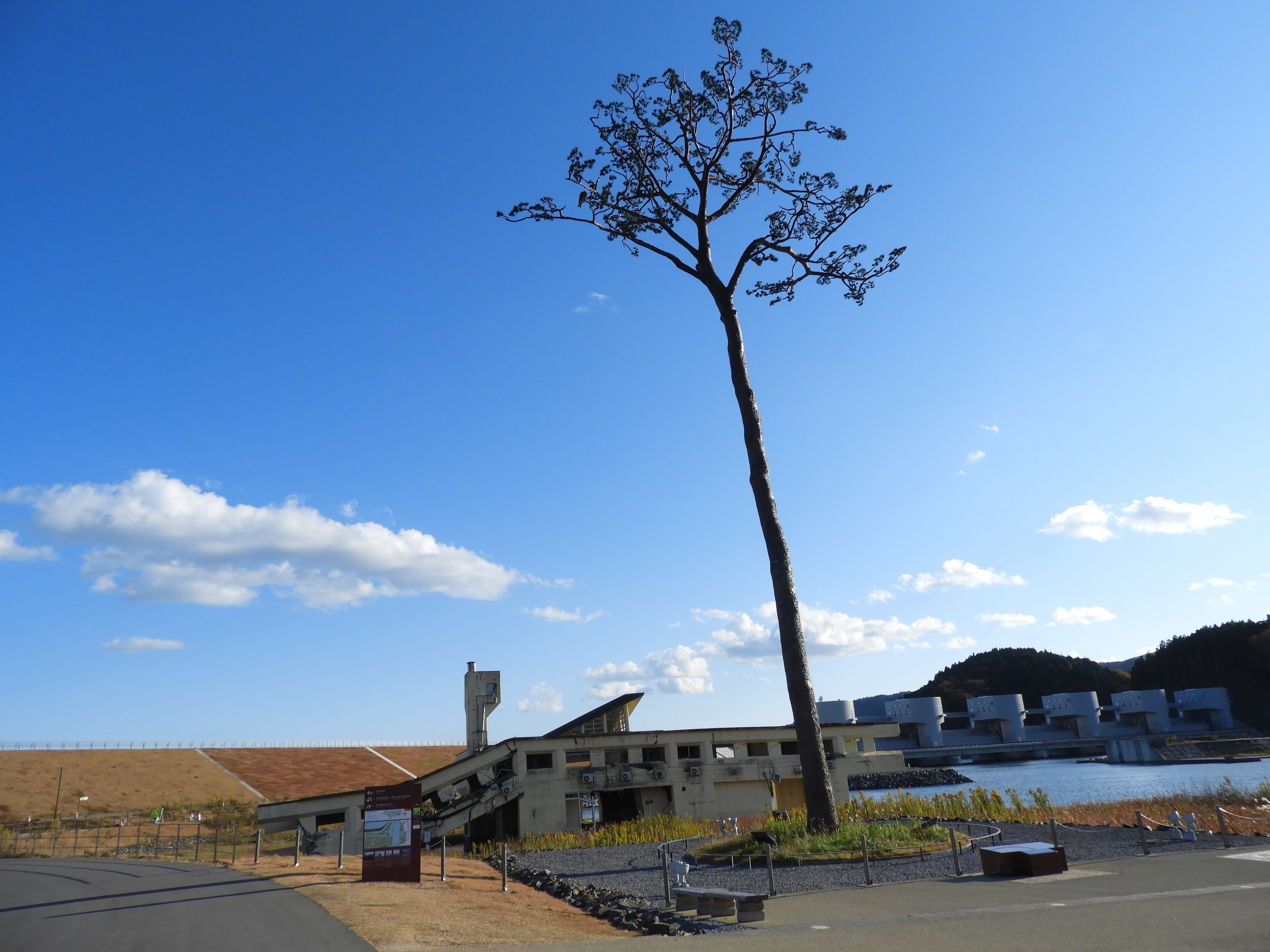 震災遺構／高田松原津波復興祈念公園｜Junko Kohno＠もくせい舎