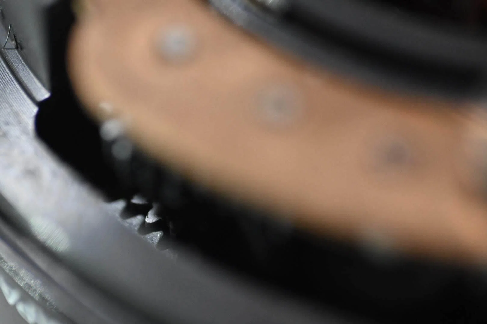 Ai AF Micro-Nikkor 55mm F2.8sを整備して，スナップ写真を撮ってみた