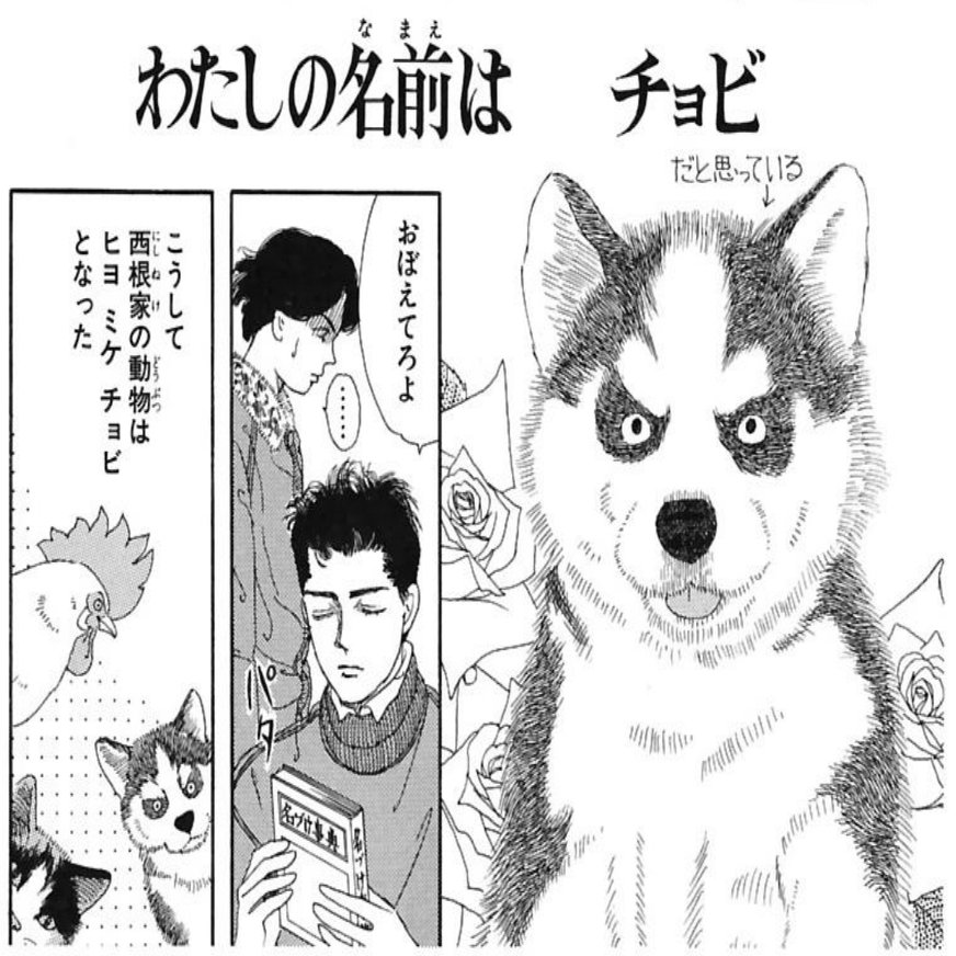 動物の漫画と本 稲田英資 Web活用支援 Note