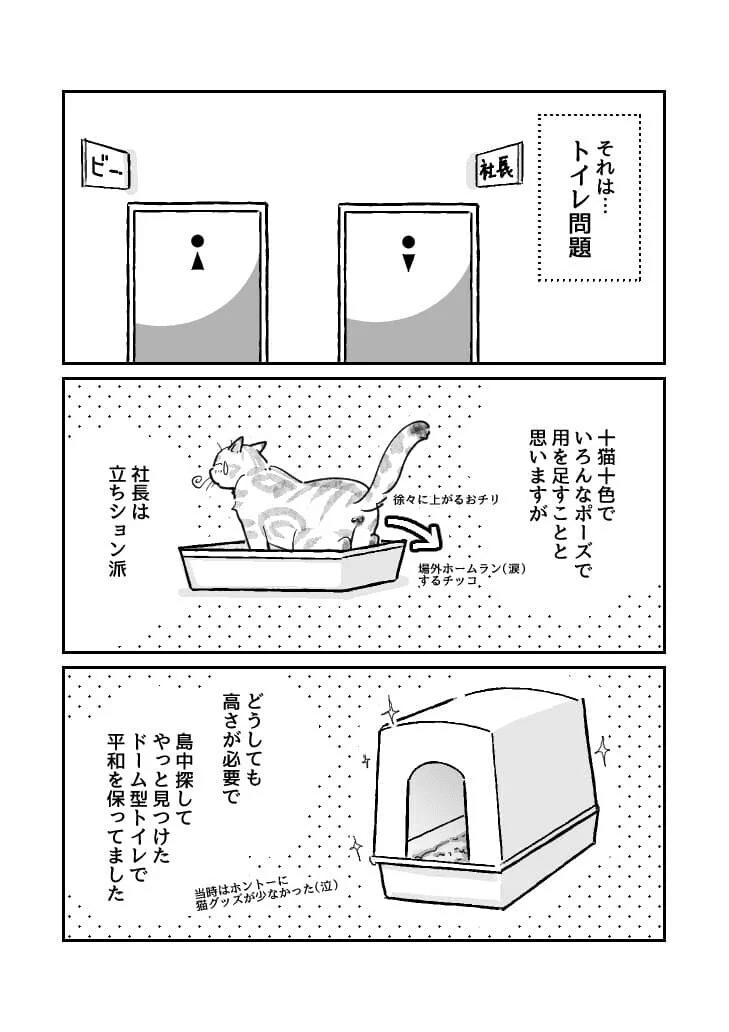 無ければ作る 猫トイレの変遷とdiy なにぬ猫 Note 無ければ作る 猫トイレの変遷とdiy なにぬ猫 Note