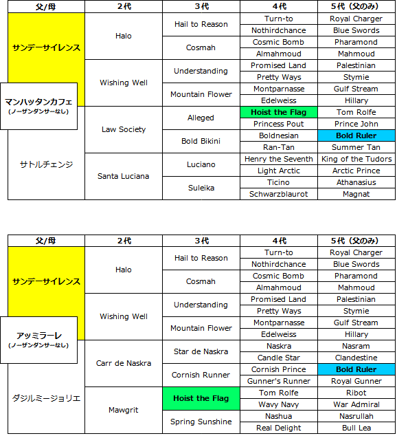 【マンハッタンカフェ】第45回有馬記念／Sサイズ(タグ付)／アバンティ社製 マンハッタンカフェ】第45回有馬記念／Sサイズぬいぐるみ(タグ付