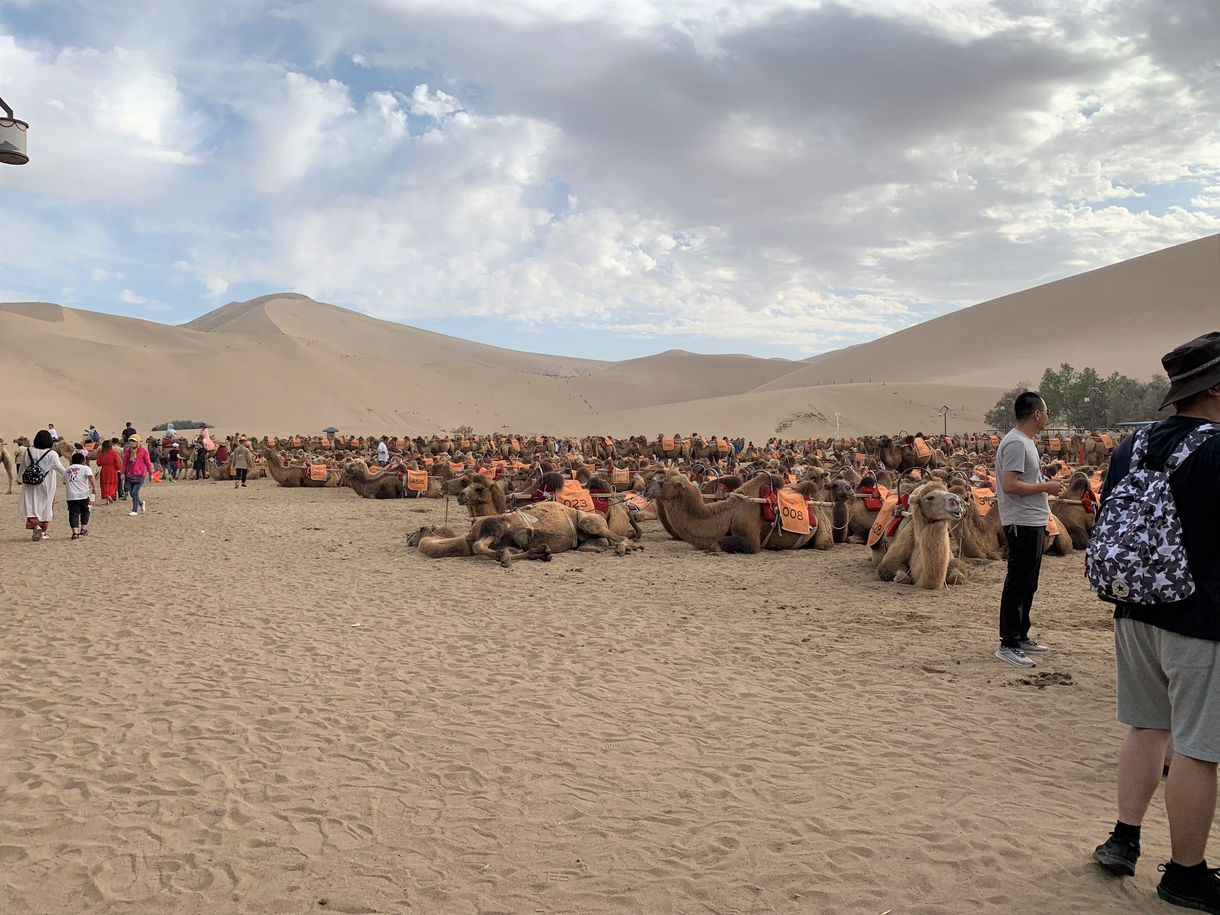 旅日記】シルクロードの旅、はじまりはいつも晴れ（6） ―敦煌