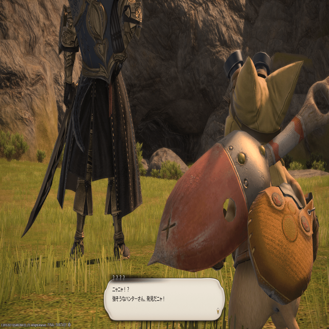 Ff14 Mh 異世界に行ったリオレウスを追って光の戦士になってきた話 せと Note