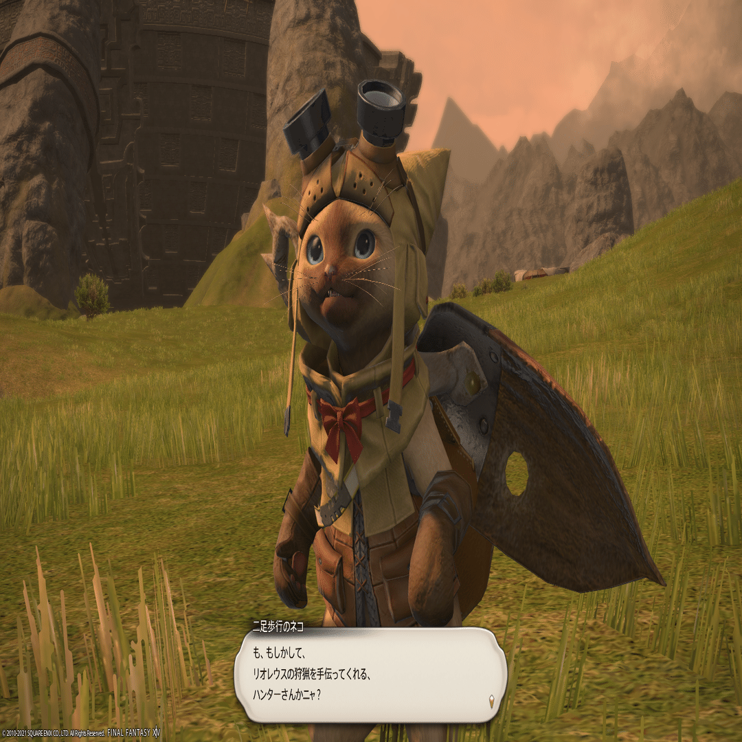 Ff14 Mh 異世界に行ったリオレウスを追って光の戦士になってきた話 せと Note